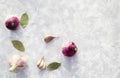 Composition of onions, garlic, bay leaves on a white background. Background with food. Seasoning Royalty Free Stock Photo