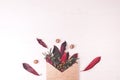 Envelope, leaves, nuts and flower composition. Royalty Free Stock Photo