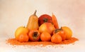 composition of orange fruits and vegetables. A set of products only orange color Royalty Free Stock Photo