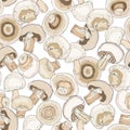 Composition of organic fungus champignon Royalty Free Stock Photo