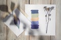 Composition of a palette, a dry natural plant and a drawing. Composition for your design Royalty Free Stock Photo