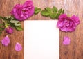 Sheet of white paper with rosehip flower and its petals on a wooden table Royalty Free Stock Photo