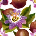 Set of tropical passion fruit, flowers and leaves watercolor illustration isolated on white background. Royalty Free Stock Photo