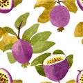 Set of tropical passion fruit, flowers and leaves watercolor illustration isolated on white background. Royalty Free Stock Photo