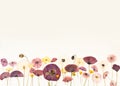 Composition pattern of pressed dried flowers of field poppies. Frame for design. Mockup for greeting card, wedding