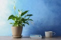 Composition with peace lily, notebook and cup on table Royalty Free Stock Photo