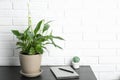 Composition with peace lily and notebook on table against brick wall. Royalty Free Stock Photo