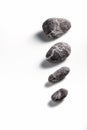 Composition of pebbles on a white background Royalty Free Stock Photo