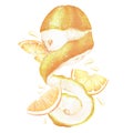 Composition with peeled lemon and slices. Juicy fruit. Watercolor illustration. Isolated on a white background. For your