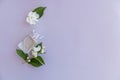 Composition of a perfume bottle with a floral delicate aromat and white jasmine flowers on a gray background. top view. a copy of Royalty Free Stock Photo