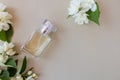 composition of a perfume bottle with a floral delicate aromat and white jasmine flowers on a gray background. top view Royalty Free Stock Photo