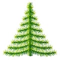 Composition of pine branches in shape of christmas tree