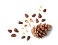Composition with pine nuts and cone on white background Royalty Free Stock Photo