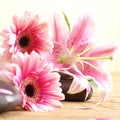 A composition of pink flowers and lava stones Royalty Free Stock Photo