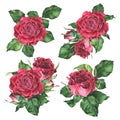 Composition of pink roses set. Watercolor botanical illustration. Hand drawn red flowers and leaves. Isolated on a white Royalty Free Stock Photo