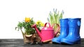 Composition with plants and gardening tools on table Royalty Free Stock Photo