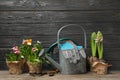 Composition with plants and gardening tools on table Royalty Free Stock Photo
