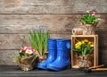 Composition with plants and gardening tools on table against wooden Royalty Free Stock Photo