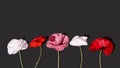 Composition of Poppy flowers on a black background. Creative concept greeting card for Memorial Day, Anzac Day