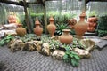 A composition of pots with flower-beds in the Nong Nooch tropical botanic garden near Pattaya city in Thailand