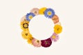 Composition of pressed dried flowers of asters and garden roses in the form of a circle. Mockup for greeting card