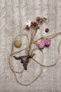 Composition with pressed flowers, pentacle