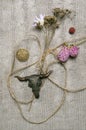 Composition with pressed flowers, pentacle