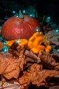 Composition of pumpkin and yellow leaves