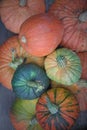 Composition of pumpkins different sizesand colors autumn harvest season