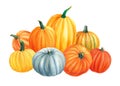 Composition of pumpkins on isolated white background, watercolor illustration, hand drawing, poster