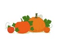 Composition with pumpkins and leaves on a white background. Thanksgiving or Halloween decoration. Banner, poster, card, leaflet, Royalty Free Stock Photo