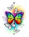 Composition with rainbow butterfly with watercolor