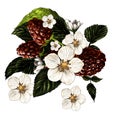 Composition of raspberry branches, flowers and ripe berries collected in one bouquet