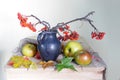 Still life Rowan branch in a vase and ripe juicy apples Royalty Free Stock Photo