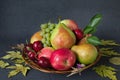 Composition of ripe fruits and yellow autumn leaves on a black background. Harvest concept Royalty Free Stock Photo