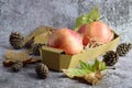 Composition with ripe pomegranates, leaves, and cones in the grunge background