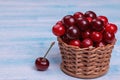 ripe red cherries in a wicker basket on a blue wooden table. Royalty Free Stock Photo