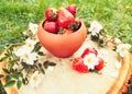 Composition of ripe red strawberries in a clay pot on wooden stump with white wild rose flowers and a grass lawn. Freshly picked Royalty Free Stock Photo