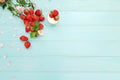 Composition of ripe red strawberries, mint, pink wild rose, sour cream in bowl on a blue wooden background. Freshly picked berries Royalty Free Stock Photo