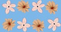 Composition of rows of flowers over blue background