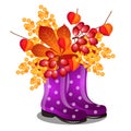 Composition of rubber purple boots and dry autumn leaves isolated on white background. Vector cartoon close-up Royalty Free Stock Photo