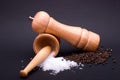 Composition of salt and pepper Royalty Free Stock Photo