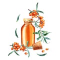 Composition with sea buckthorn and open glass oil bottle, jar with cork and decorative rope. Watercolor illustration