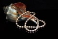 Sea Shell. Pink Pearls Necklace. Black Background Royalty Free Stock Photo