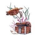 A composition with sea turtle, seaweed and coral near opened sunken treasure chest. Hand drawn watercolor illustration isolated on