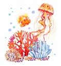 Composition with sealife. Two orange jellyfishes, coral reef and shell. Hand drawn watercolor sketch illustration Royalty Free Stock Photo