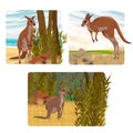 Composition set with Australian big red kangaroo. Endemic species of Australia.