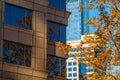 Facades of skyscrapers and tree closeup, Atlanta, USA Royalty Free Stock Photo