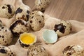 Composition of several quail eggs on decorative fabric on a wooden table close-up, flatlay Royalty Free Stock Photo