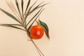 Composition of Sicilian oranges, whole and cut on a beige background